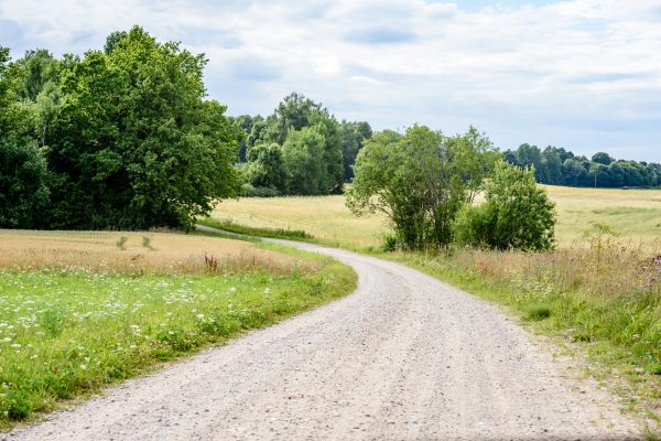 Stone Driveway Repair in Shelton