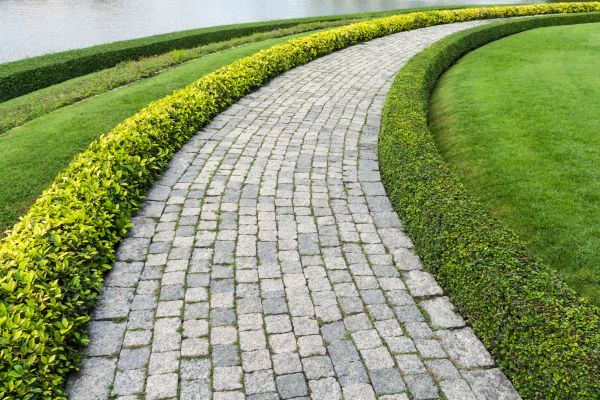 Sidewalk Pavers Installation in Shelton